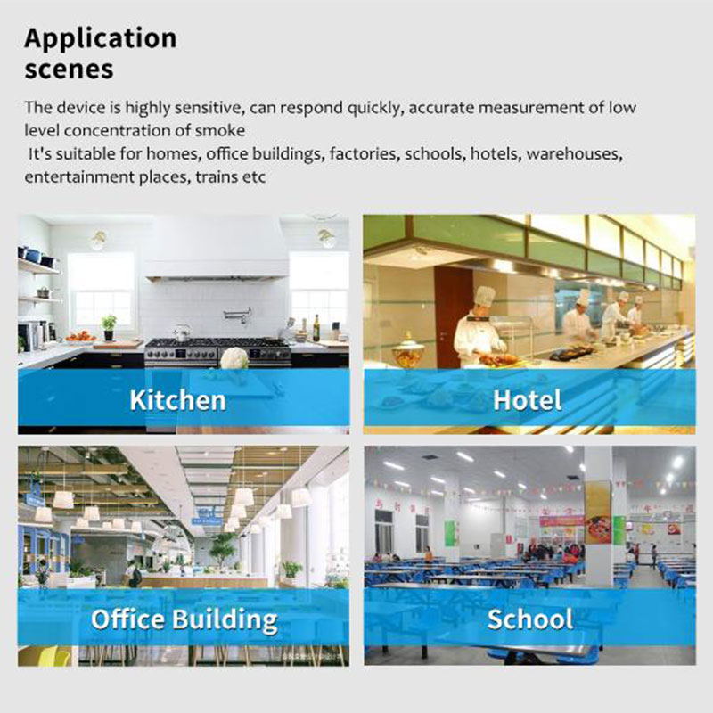 Wireless Gas detector 433MHz G - Home Security Alarm System 评论和价格