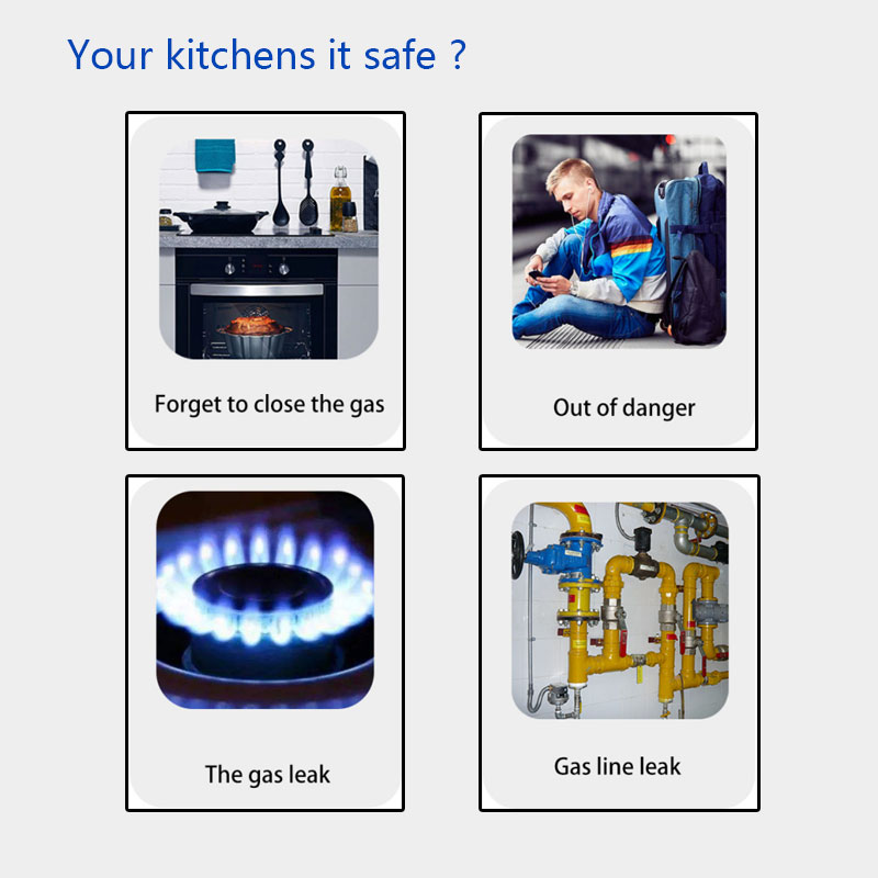 Wireless Gas detector 433MHz G - Home Security Alarm System 评论和价格